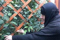 Монастырский сад Казанского женского монастыря Ярославля удостоен благодарственной грамоты мэрии Ярославля 