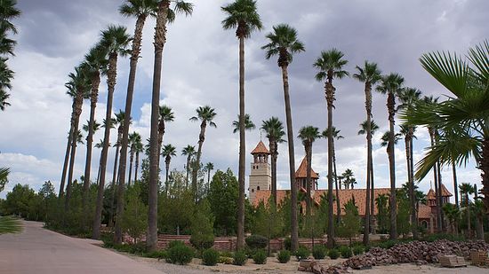 Пальмы вокруг монастыря