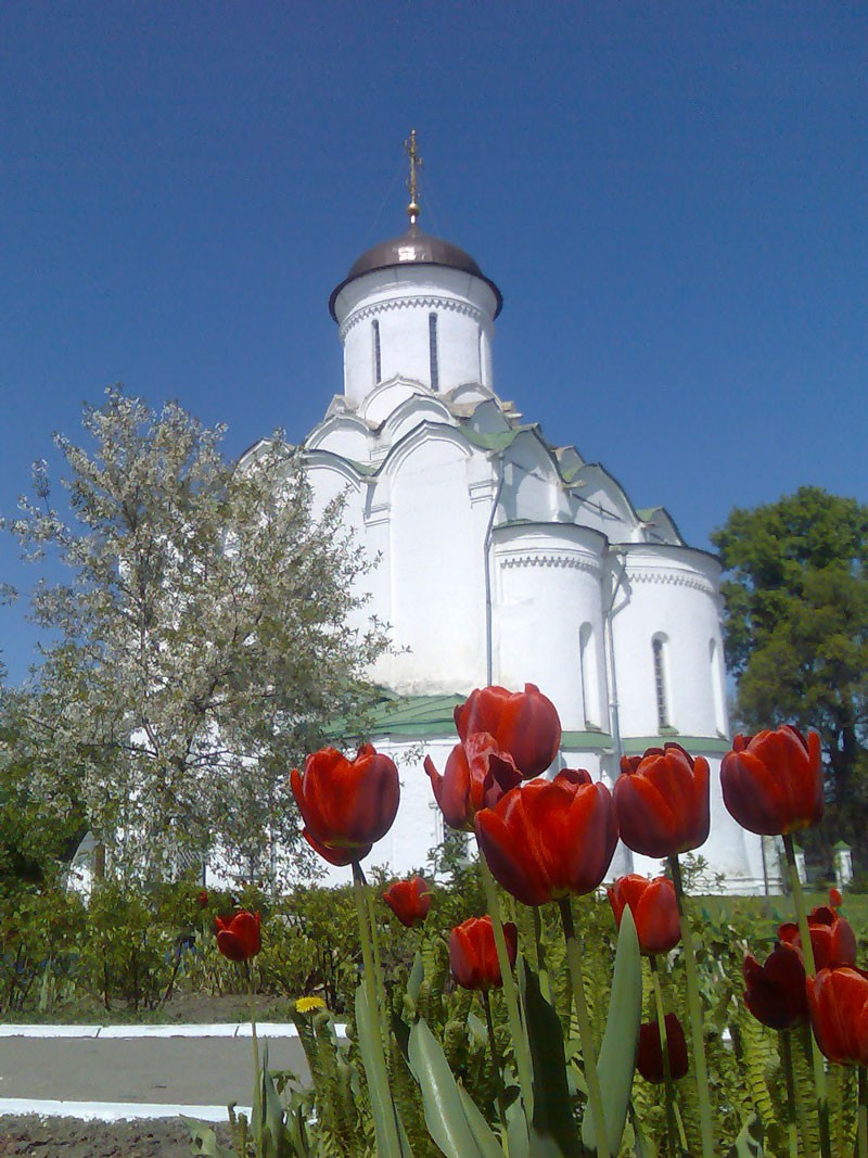 Реферат: Успенский собор Княгинина монастыря
