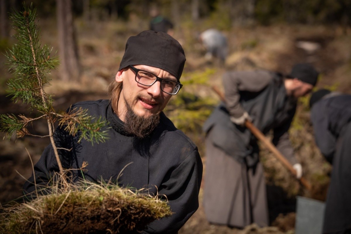 Валаамский монастырь начал программу по оздоровлению лесных насаждений архипелага