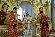 Глава Тульской митрополии возглавил торжества престольного праздника в Щегловском Пантелеимоновом  монастыре