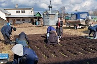 Воспитанники Обители милосердия поселка Лосицы приняли участие в весенне-полевых работах в Псково-Печерском монастыре