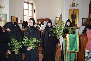 В Аносином монастыре состоялся престольный праздник в честь Дня Святой Троицы