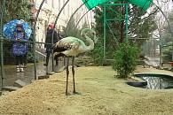 Первую партию птиц зоосада Свято-Духова монастыря Волгограда перевезли в природный парк
