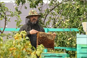 Очерк о послушании пчеловода