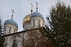 В Новоспасском монастыре состоялся молебен о здравии больных гемофилией