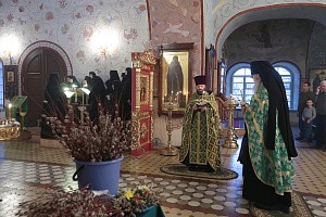 В Свято-Троицком Александро-Невском монастыре  накануне Вербного воскресенья состоялось всенощное бдение