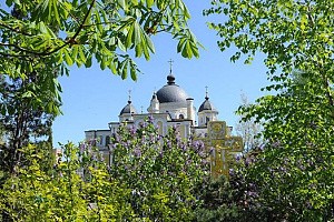 Покровский монастырь посетили делегации Поместных Православных Церквей и УПЦ