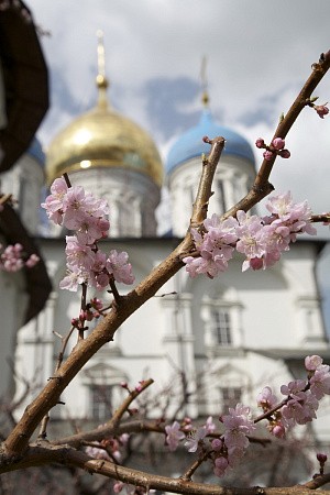 В Новоспасском монастыре началась подготовка сада к весне